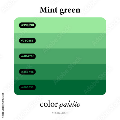 Mint green color palettes accurately with codes, Perfect for use by illustrators