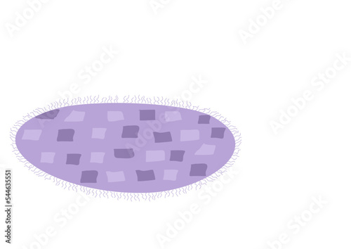 purple oval rug with square patterns and trinkets © Гузель Губайдуллина