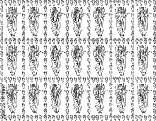 Sketch corn. Harvesting cereals, hand drawn cobs and seeds vector seamless pattern