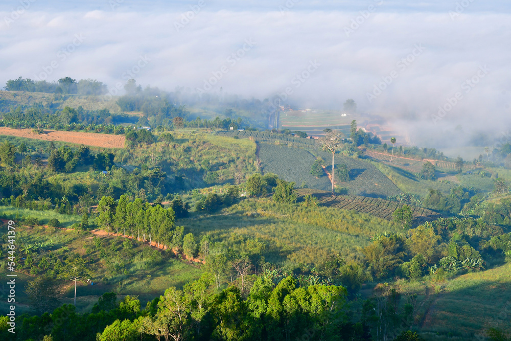 Obraz premium landscape in the mountains