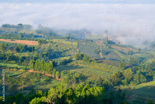 landscape in the mountains