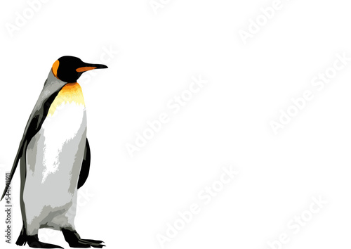 pinguin logo