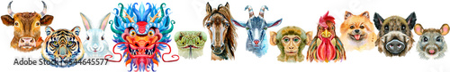 Photo Border from watercolor twelve chinese zodiac animals