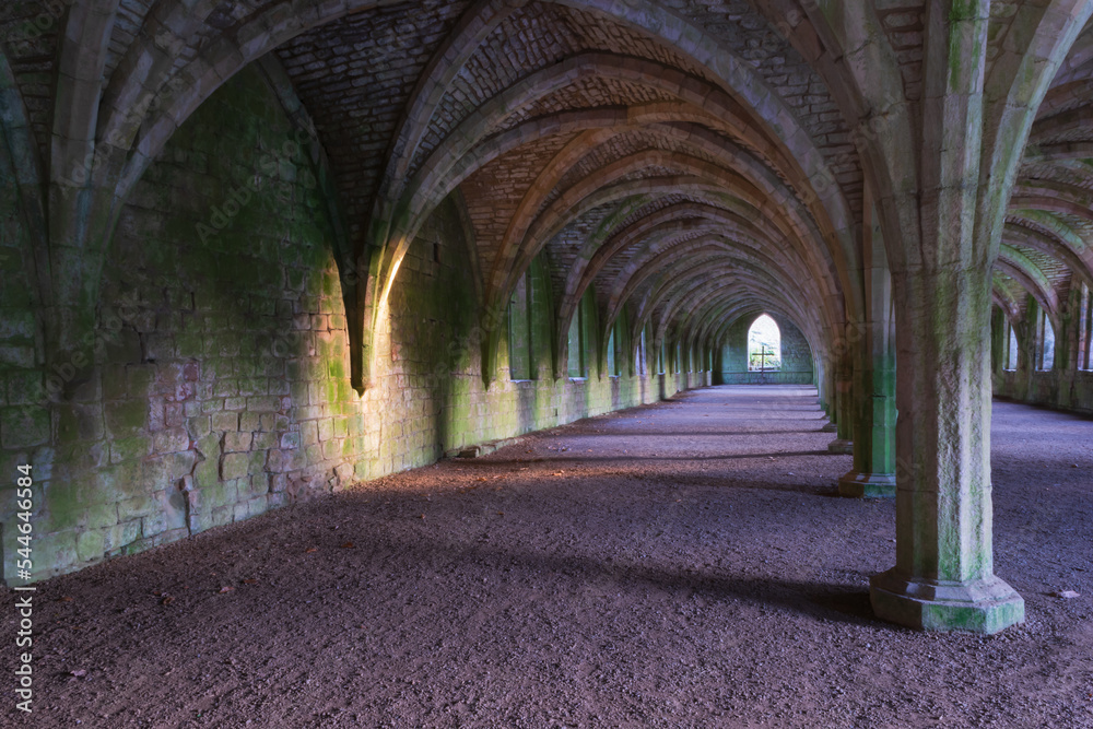 Fototapeta premium Fountain Abbey