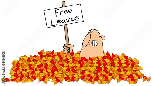 Quadro em tela Too many fallen leaves