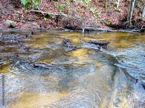 A wild little river with fallen trees and lots of rocks. A small trout river during autumn.