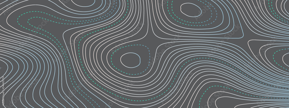 The stylized colorful abstract topographic map with lines and circles background. Topography gradient linear background with copy space. Vector illustration.