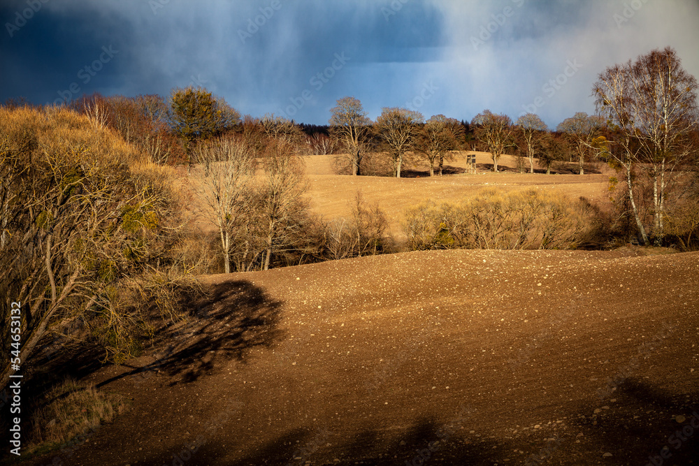 Sunny early spring landscape of a ploughed field