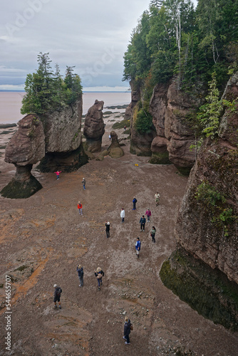 Fundy National Park, New Brunswick, Canada: Tourists walk among the exposed Hopewell Rocks on the Bay of Fundy at low tide.