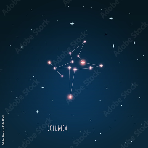 Constellation Columba scheme in starry sky. Open space. Vector illustration Columba constellation  through a telescope.