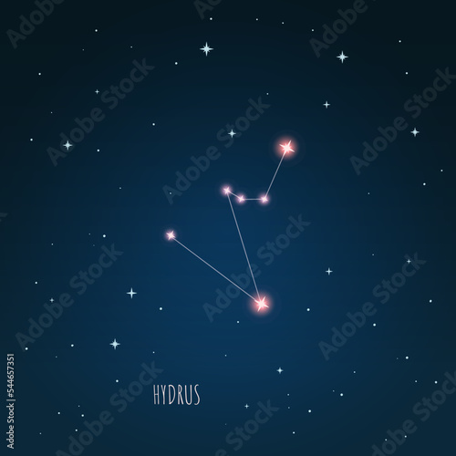 Constellation Hydrus scheme in starry sky. Open space. Vector illustration Hydrus constellation in open space through a telescope