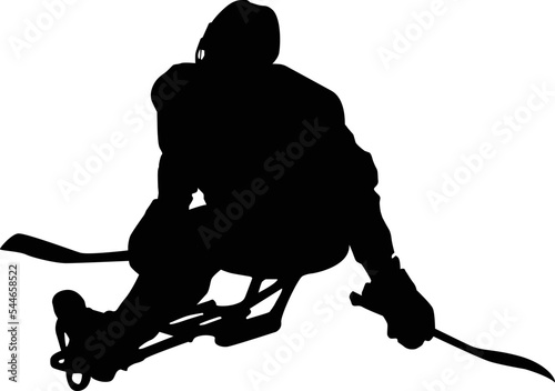 paralympic games hockey