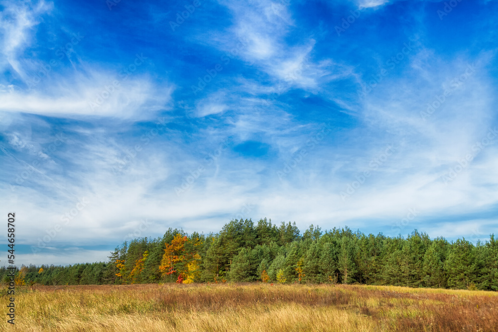 Fototapeta premium Landscape autumn road with colourful trees, autumn Poland, Europe and amazing blue sky with clouds, sunny day