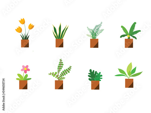 Indoor landscape garden potted plants isolated on white. Vector set green plant in pot.