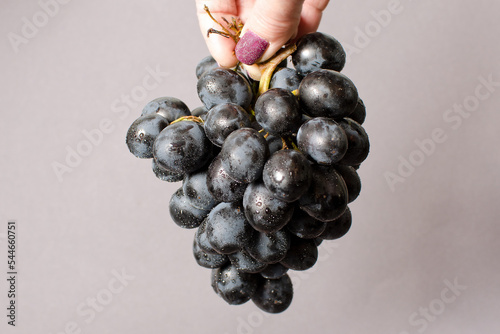 grapes in hand on gray background