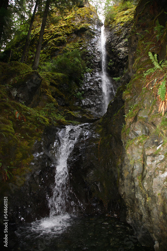 Fototapeta Naklejka Na Ścianę i Meble -  Vancouver Island - Strathcona Provincial Park - Lupin Falls - Kanada / Vancouver Island - Strathcona Provincial Park - Lupin Falls - Canada /
