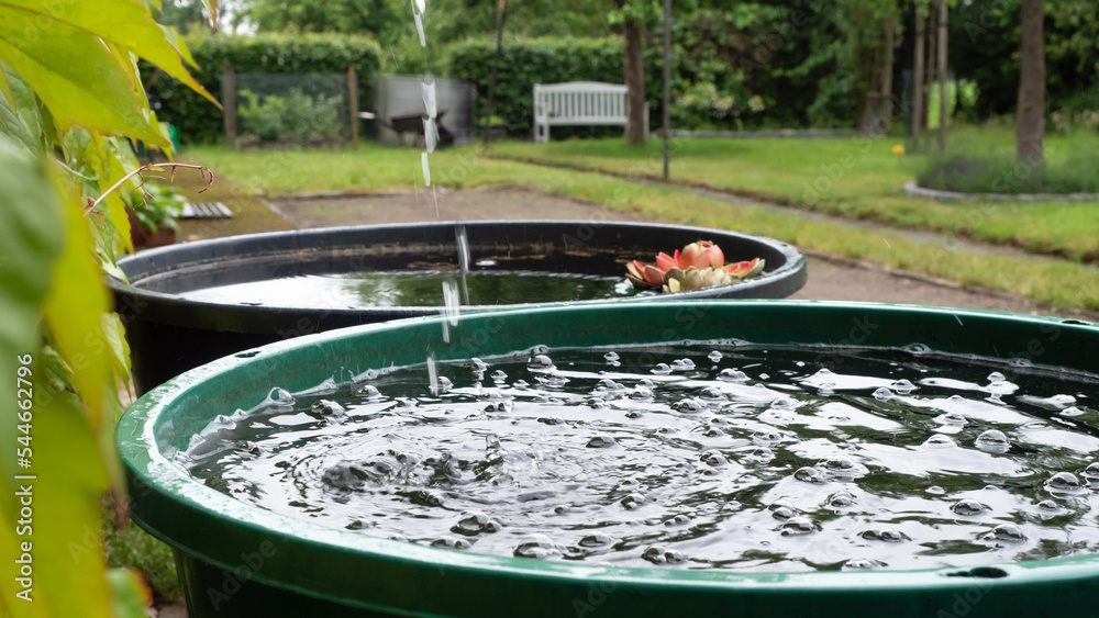 Regentonne - Wasser sammeln für den Garten Stock Photo | Adobe Stock