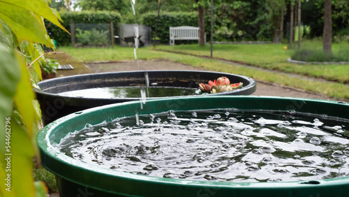 Regentonne - Wasser sammeln für den Garten
