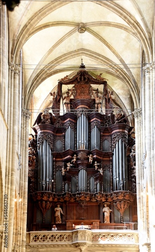 Dom Halberstadt, Orgel