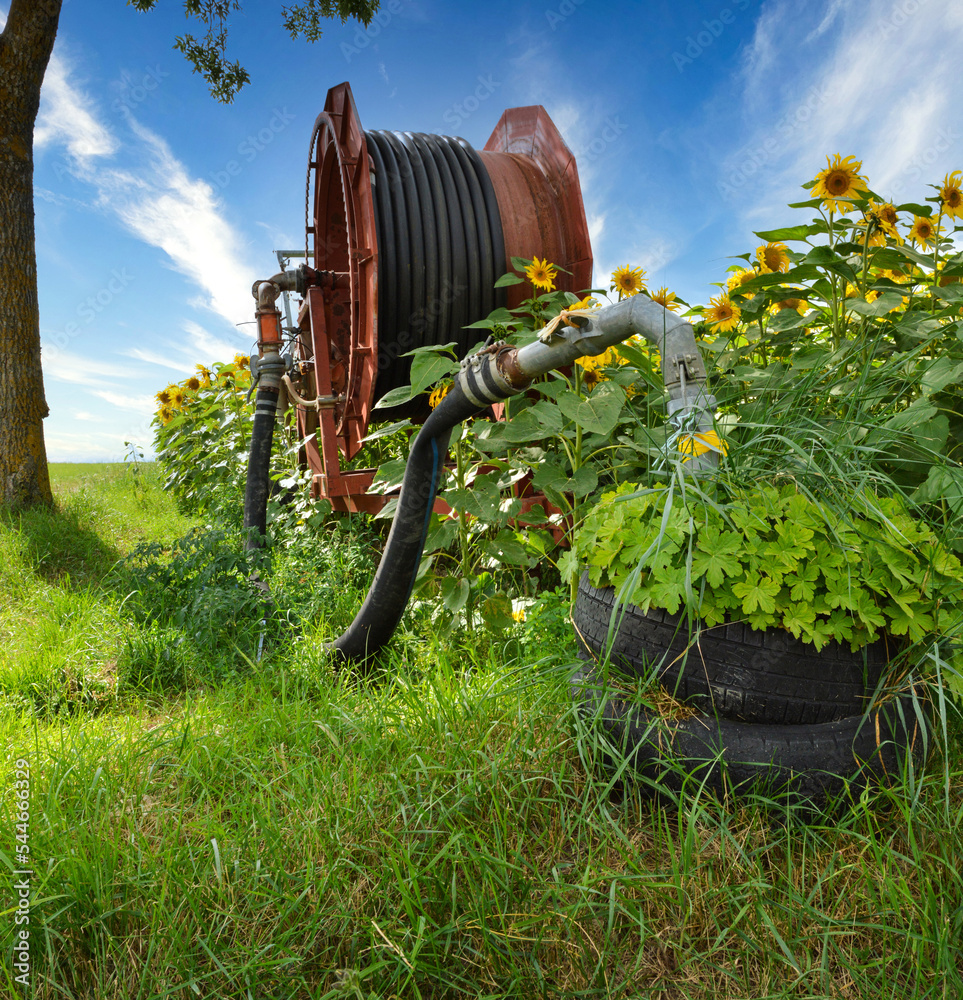 Hose Reel Farm Irrigation Stock Illustrations – 18 Hose Reel Farm  Irrigation Stock Illustrations, Vectors & Clipart - Dreamstime