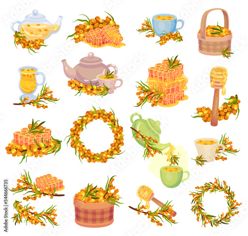 Sea Buckthorn Berry with Honey and Hot Tea Brewing Big Vector Set