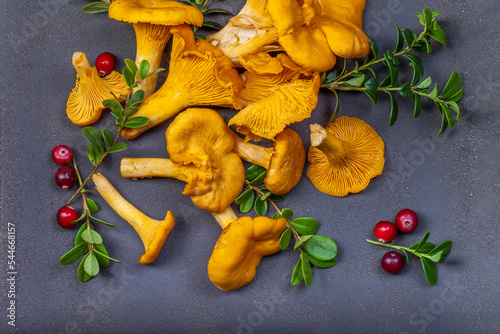 Raw wild mushrooms chanterelles on old wooden background. Vegetarian healthy product. Healthy lifestyle.