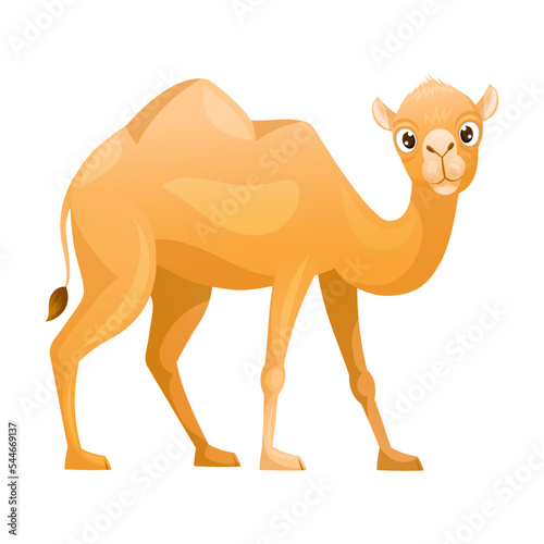 Brown Camel as Even-toed Ungulate Desert Animal Standing Vector Illustration