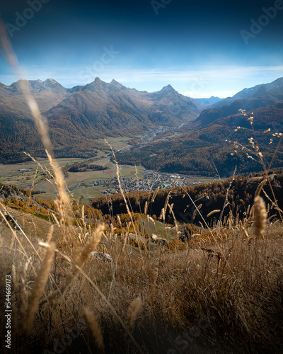 Blick durch Grashalme auf das Oberengadin im Herbst