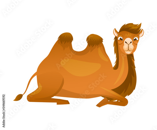 Brown Camel as Even-toed Ungulate Desert Animal Sitting Vector Illustration