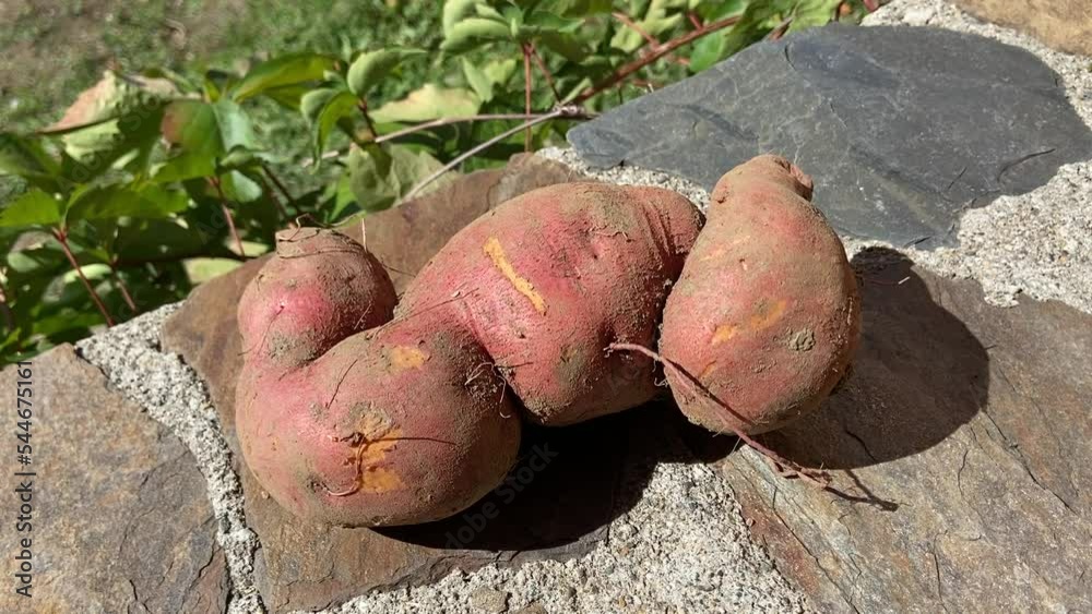 Patate douce sur une table en pierres