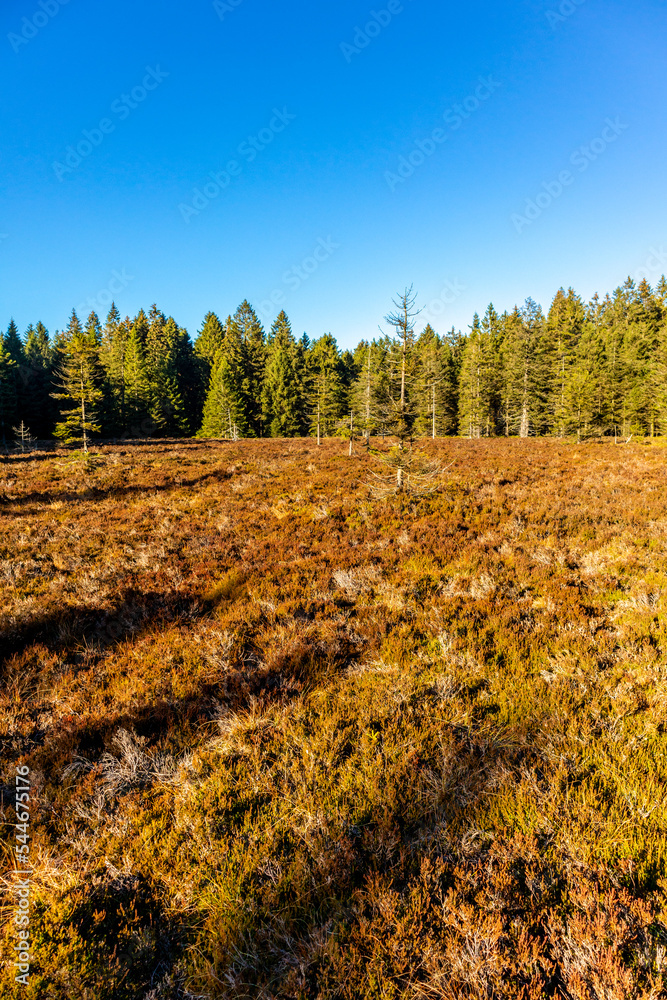 Kleine Herbstwanderung durch den Wintersportort Oberhof am Rennsteig - Thüringen - Deutschland