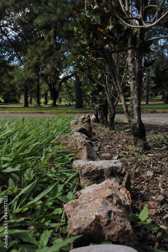 Decoracion Jardin