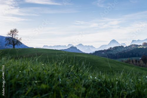 Berge bedeckt mit Schnee im Herbst in Windischgarsten  Ober  sterreich