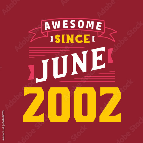 Awesome Since June 2002. Born in June 2002 Retro Vintage Birthday