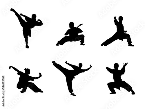 Wushu, kung fu, Taekwondo. Silhouette of people isolated on white background. Clipart, icon, pictogram. Fighting stance. Vector illustration.