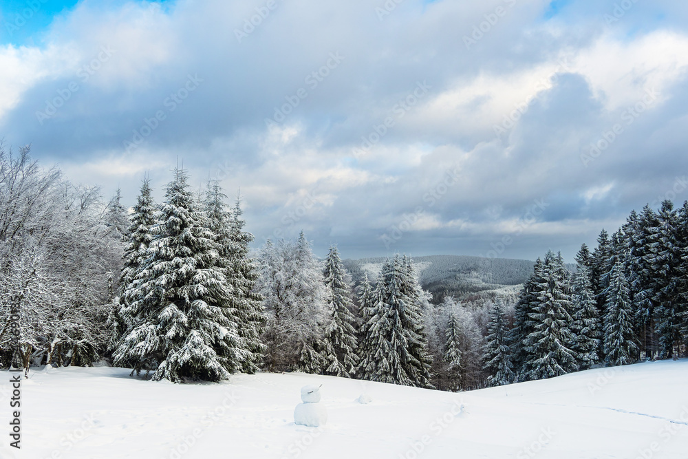 Landschaft im Winter im Thüringer Wald in der Nähe von Schmiedefeld am Rennsteig