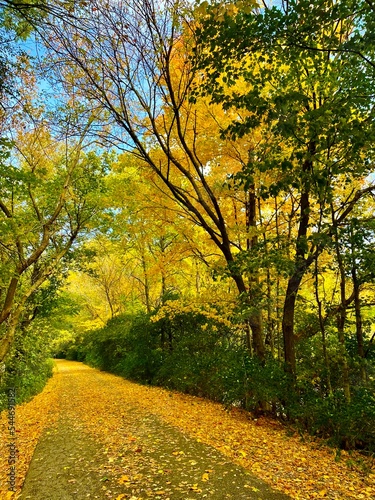 Monon Trail in Broad Ripple, Indianapolis, Indiana - Fall 2022