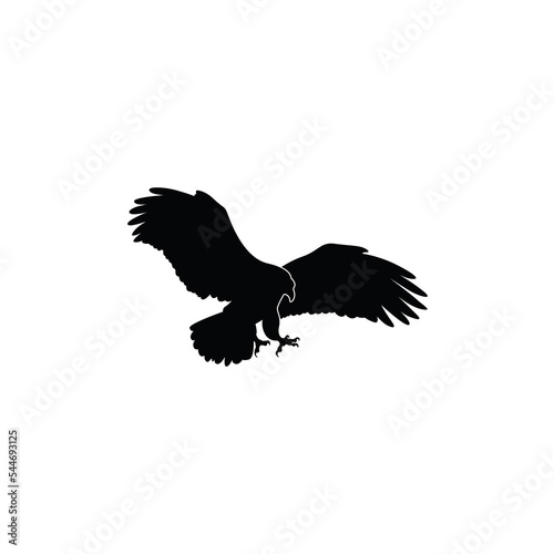 Flying eagle icon or logo vector graphics photo