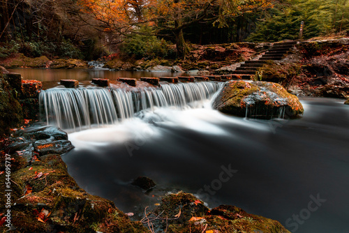 Stepping stones at Tollymore forest park in autumn. Colorful fall landscape in woodland crossed by a river. Newcastle, County Down, Northern Ireland