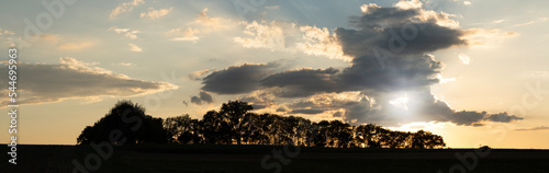Sunset in the landscape evening with trees.