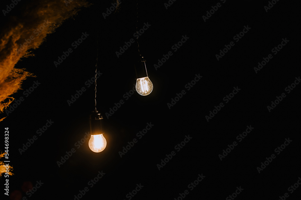 Electric lamps hang on a wedding arch with reeds at night in the dark outdoors.