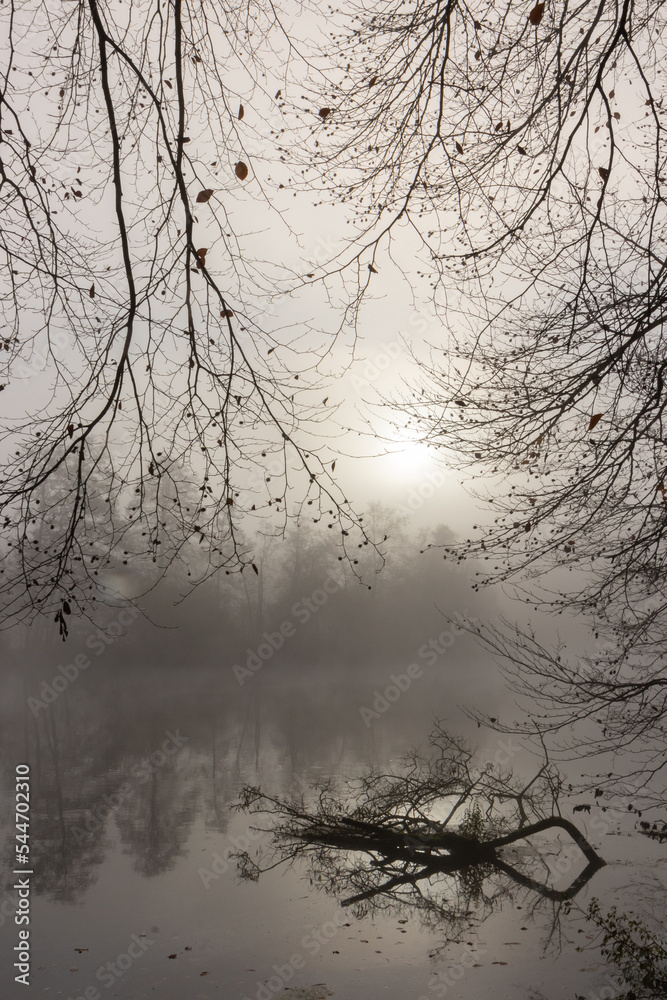 Äste am Fluss im Nebel, Trauerkarte, Bestattung, Danksagung Äste am Fluss im Nebel, Trauerkarte, Bestattung, Danksagung
