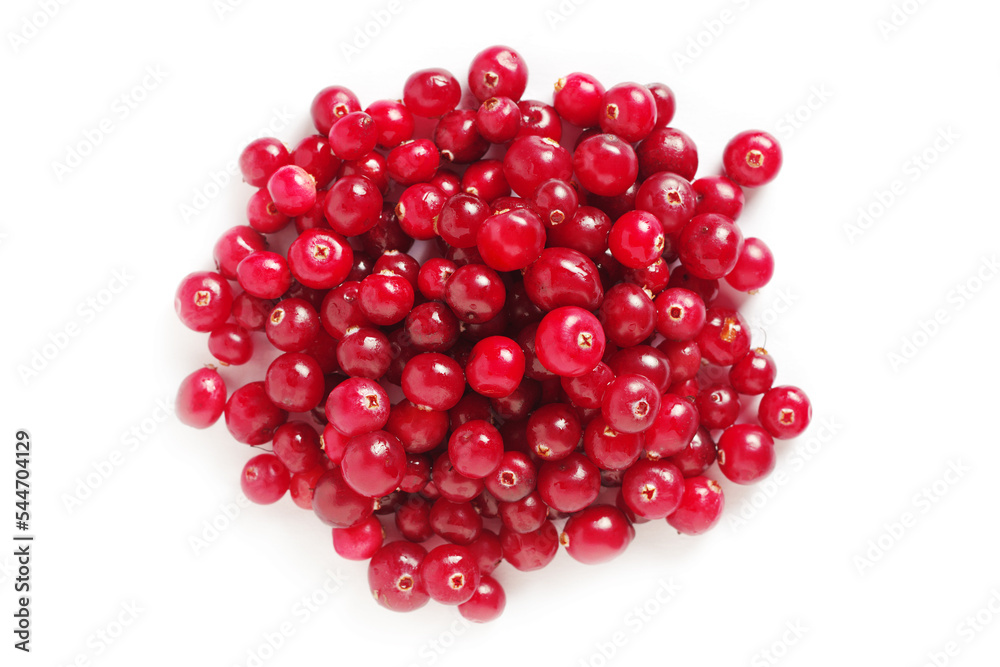 Red forest cranberry Red forest cranberry