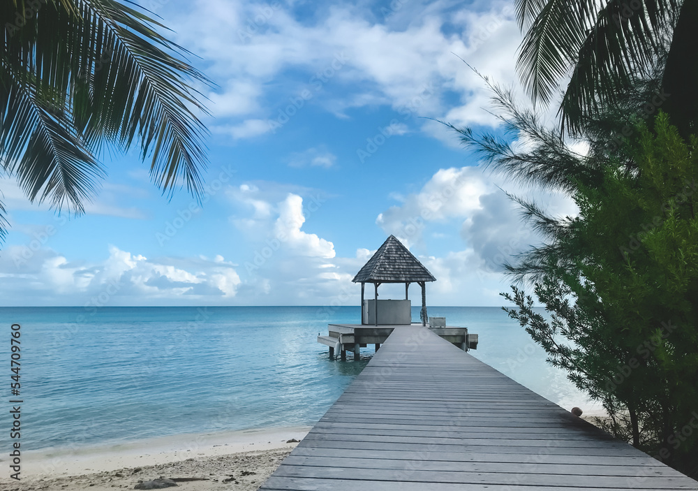Fototapeta premium Wooden gazebo on lonley tropical beach pier. Exotic island with coconut palm tree branch and sand shore. Summer landscape, vacation, holidays, travel concept. Summer background.
