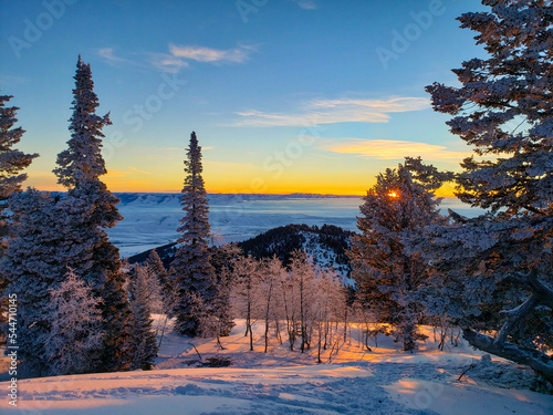 Sunrise shining through snowy trees on a mountain top