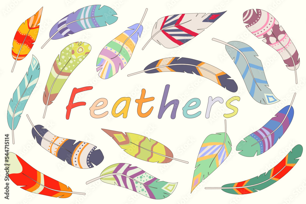 Fototapeta premium Tribal feathers, boho ethnic stylized bird feather. Flat cartoon elegant colorful bohemian feathering, indigenous feathers vector set