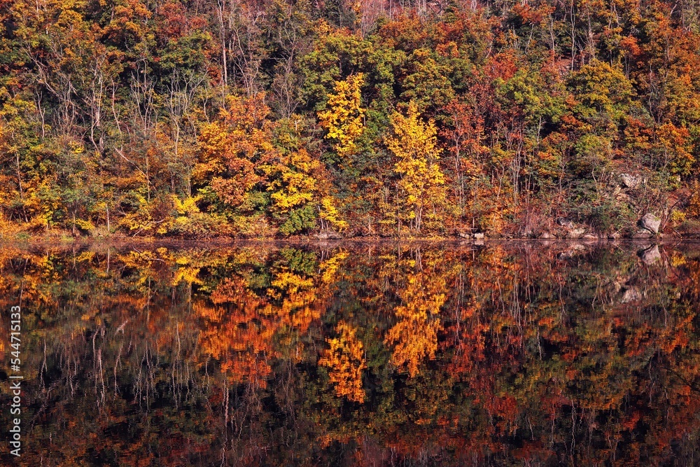 A beautiful water reflection of trees in autumn colors on calm river near Znojmo, Czech republic A beautiful water reflection of trees in autumn colors on calm river near Znojmo, Czech republic