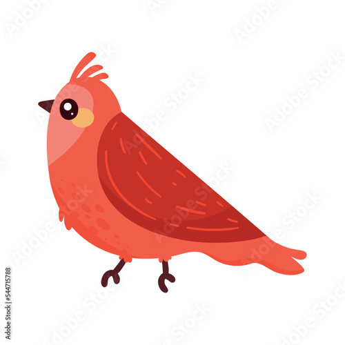Принти на полотні little red bird
