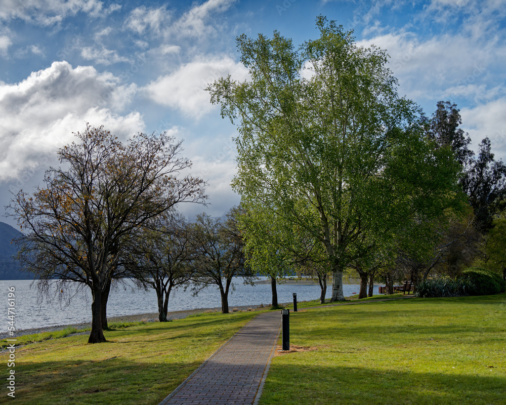 Lake Te Anau waterfront. Te Anau, Southland, south island, Aotearoa / New Zealand. Lake Te Anau waterfront. Te Anau, Southland, south island, Aotearoa / New Zealand.