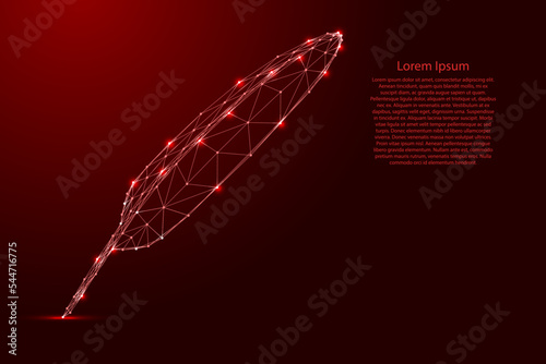 Bird feather pen, writing education concept, from futuristic polygonal red lines and glowing stars for banner, poster, greeting card. Low poly concept. Vector illustration.